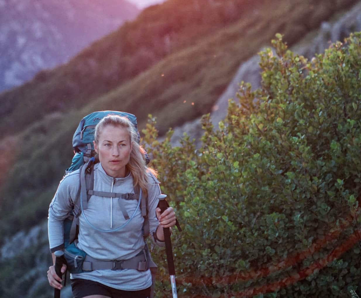 The Best Hiking and Trekking Poles (2021) - Buying Guide - Trekt